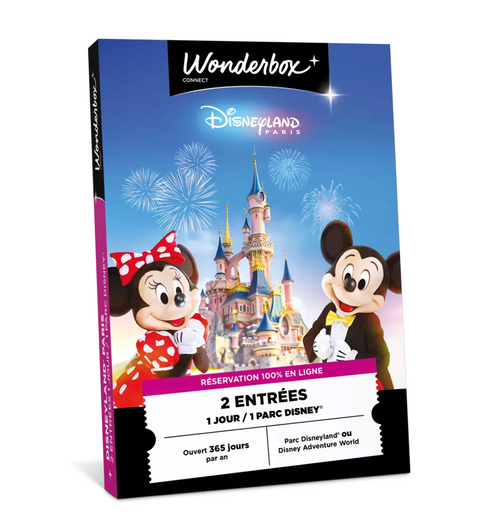 2 Places Disneyland® Paris