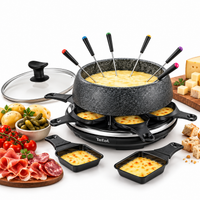 Tefal Raclette Fondue